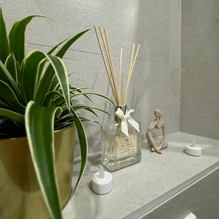 Lejlighed Au Centre *